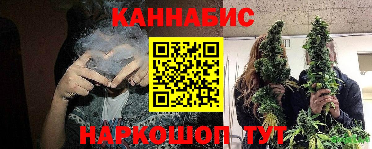 Канабис конопля  Бошки марихуана тримм  Кемерово  Конопля планчик  Вход с VPN 